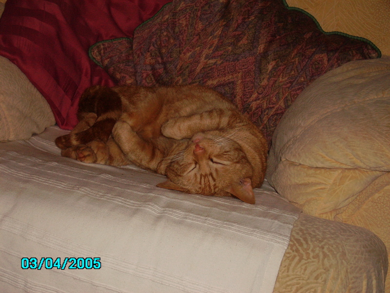 pict0031