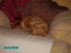 pict0031