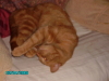 pict0032