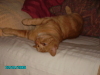 pict0033