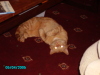 pict0042
