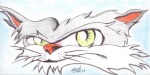 Catinthehat631405993