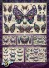 DBS-01358_detail