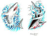 FCG_04_C1