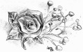 NBurnwell_903
