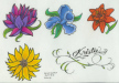 SCOTT563501460