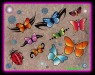 SHEET51721684143