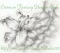 bg_flower863661532