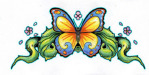 butterflyfull1070120362