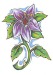 flower1073698798