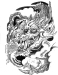 image735807731