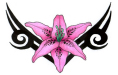 lilymain601472952