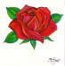 rose-big