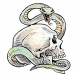 skull-tattoo-3