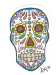 skull1601845462