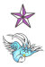 swallow-and-star-big