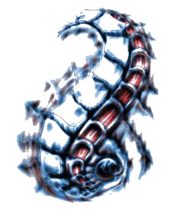2854231409