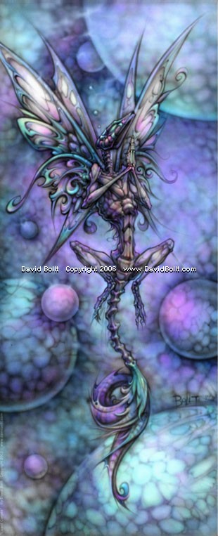 DBP-01278_detail