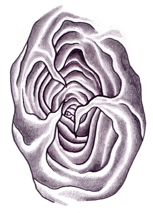 art1863717367