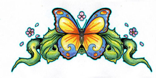 butterflyfull1070120362