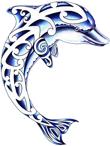 dolphinnz