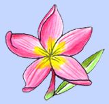 littleflower