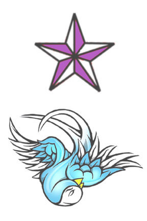 swallow-and-star-big