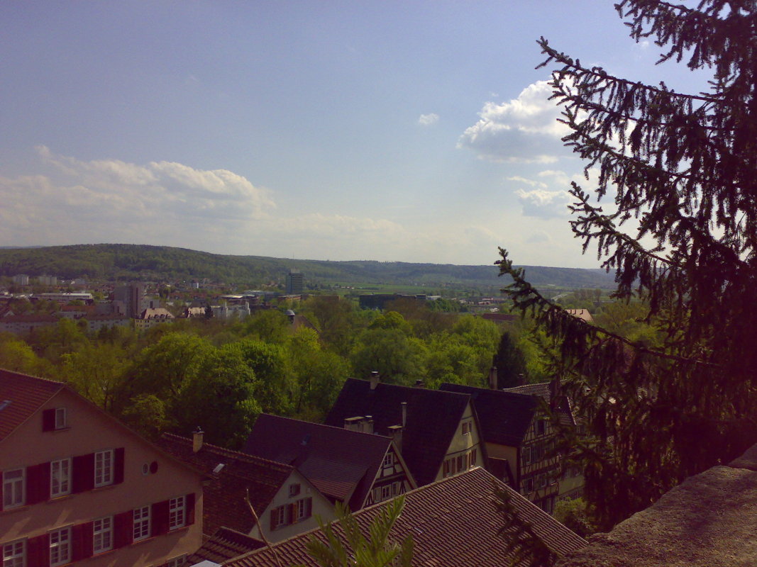 03052008228