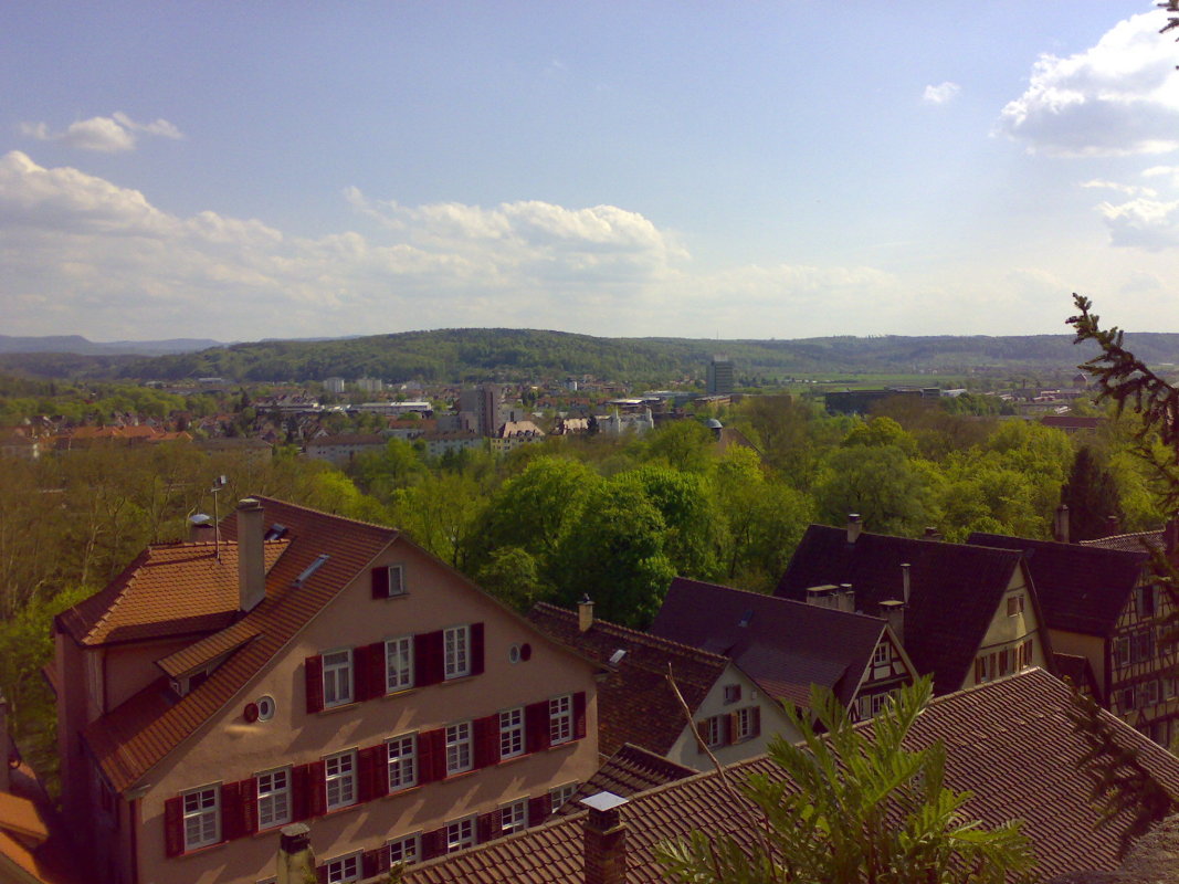 03052008229