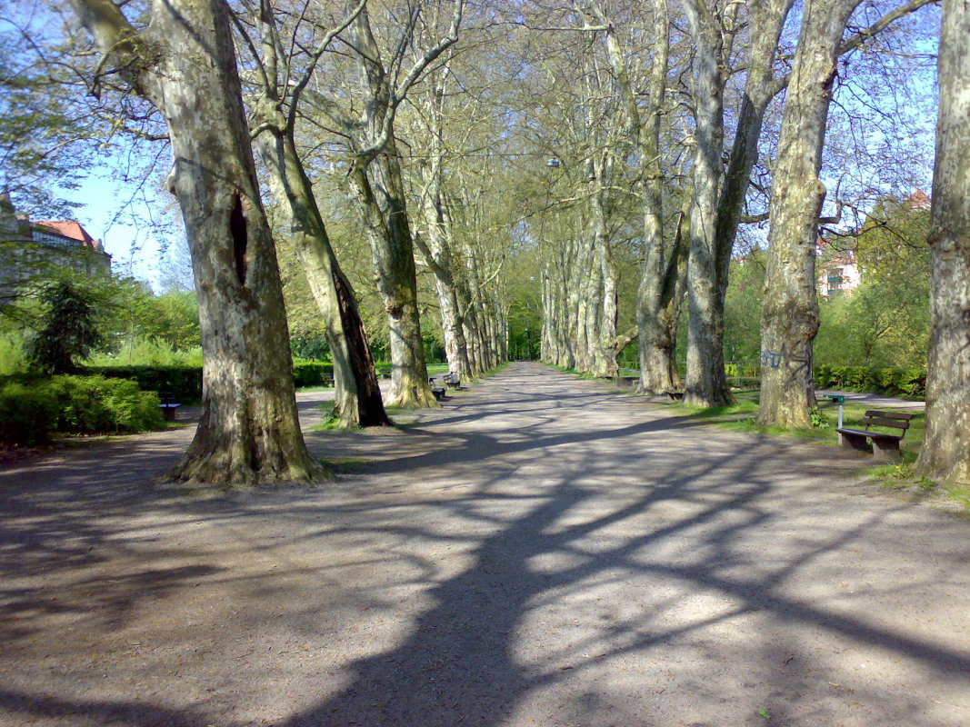 04052008237