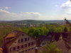 03052008229