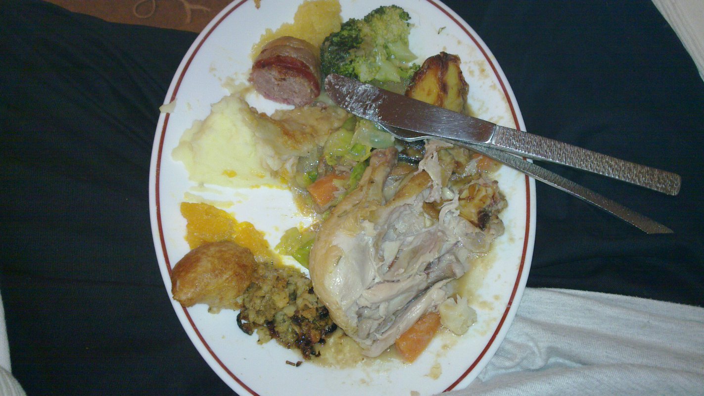 20101225_017